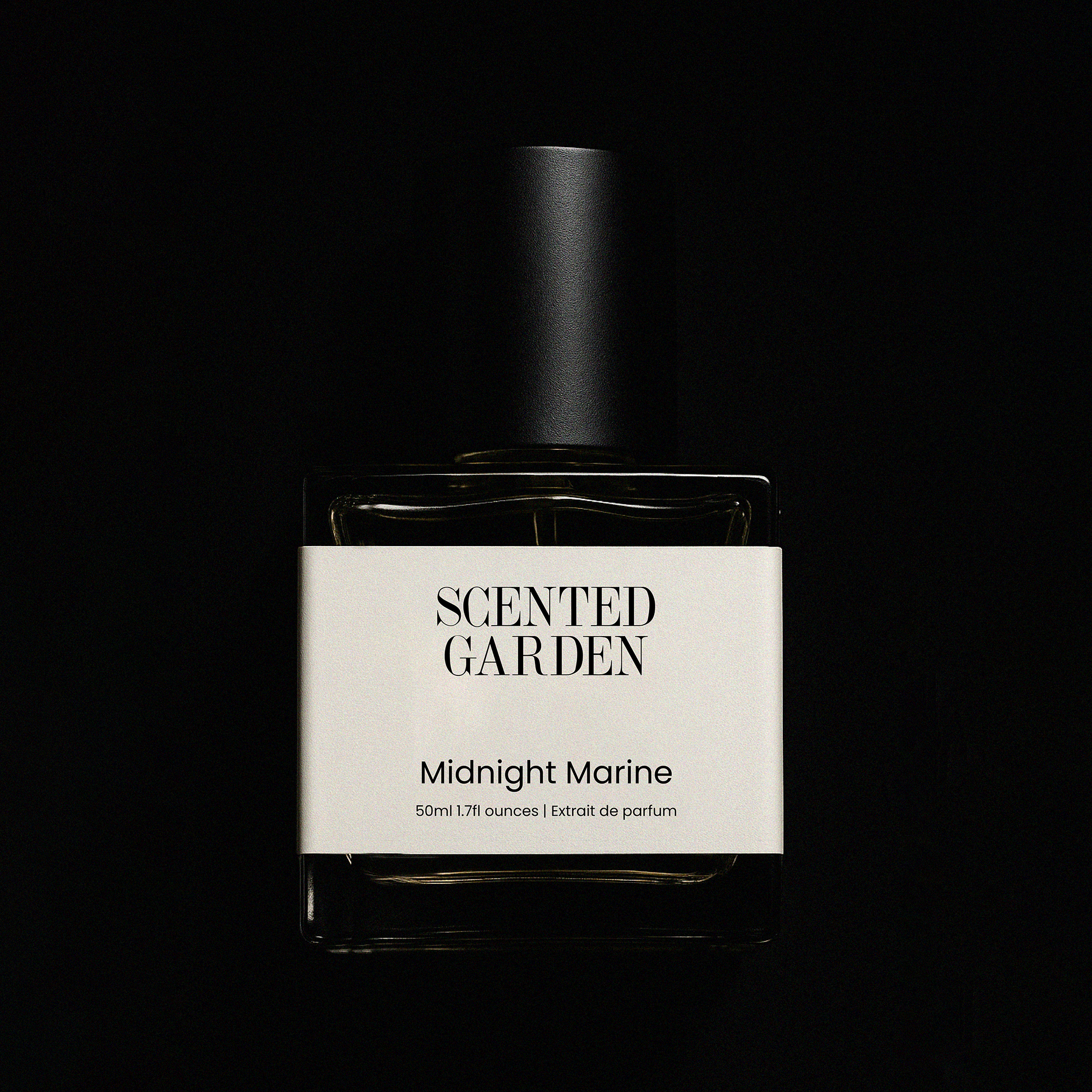 Midnight Marine - Impression of Bleu de Chanel