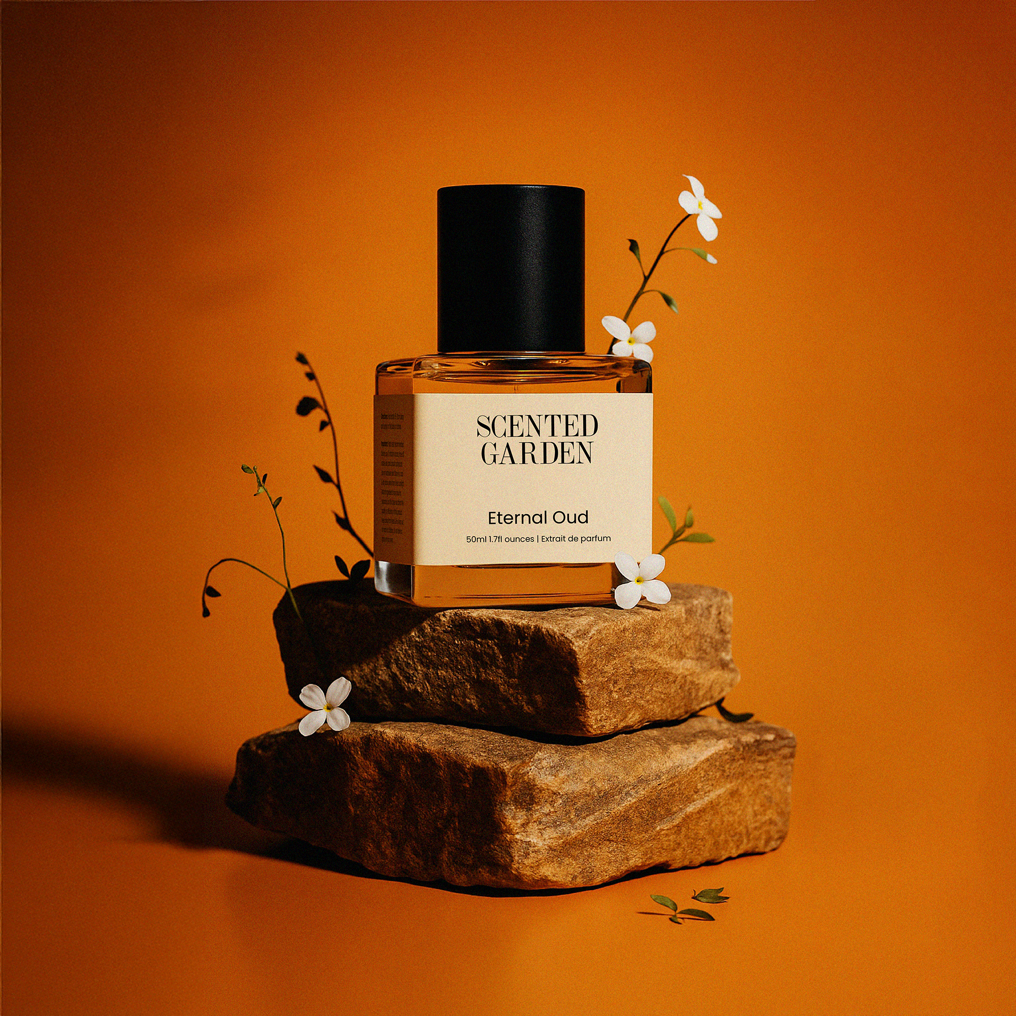 All Fragrances