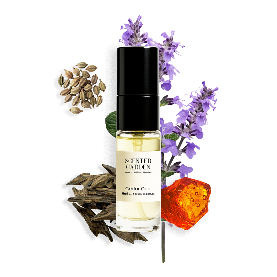 Men’s Tester Perfume Set (5 Scents × 5ml)