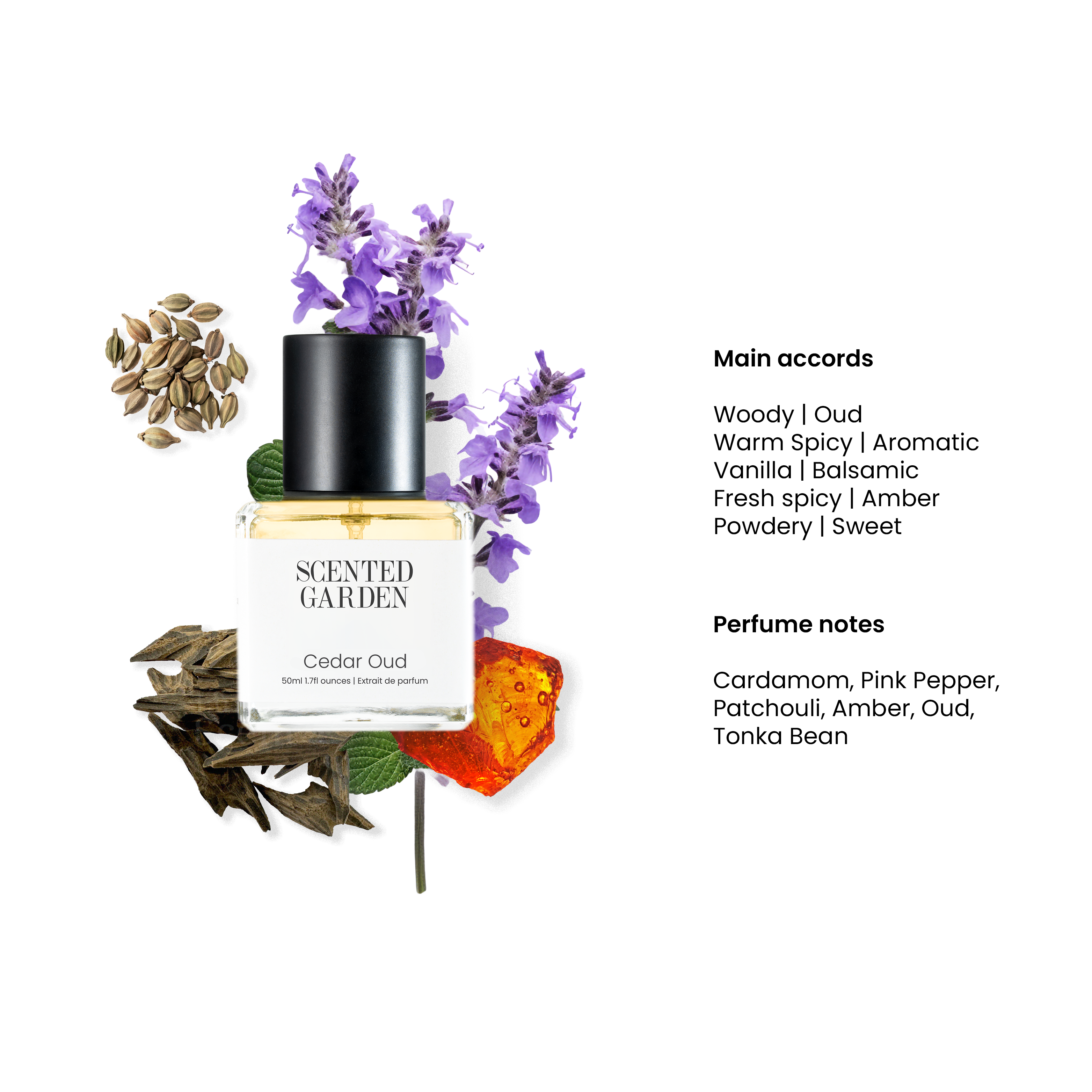 Cedar Oud
