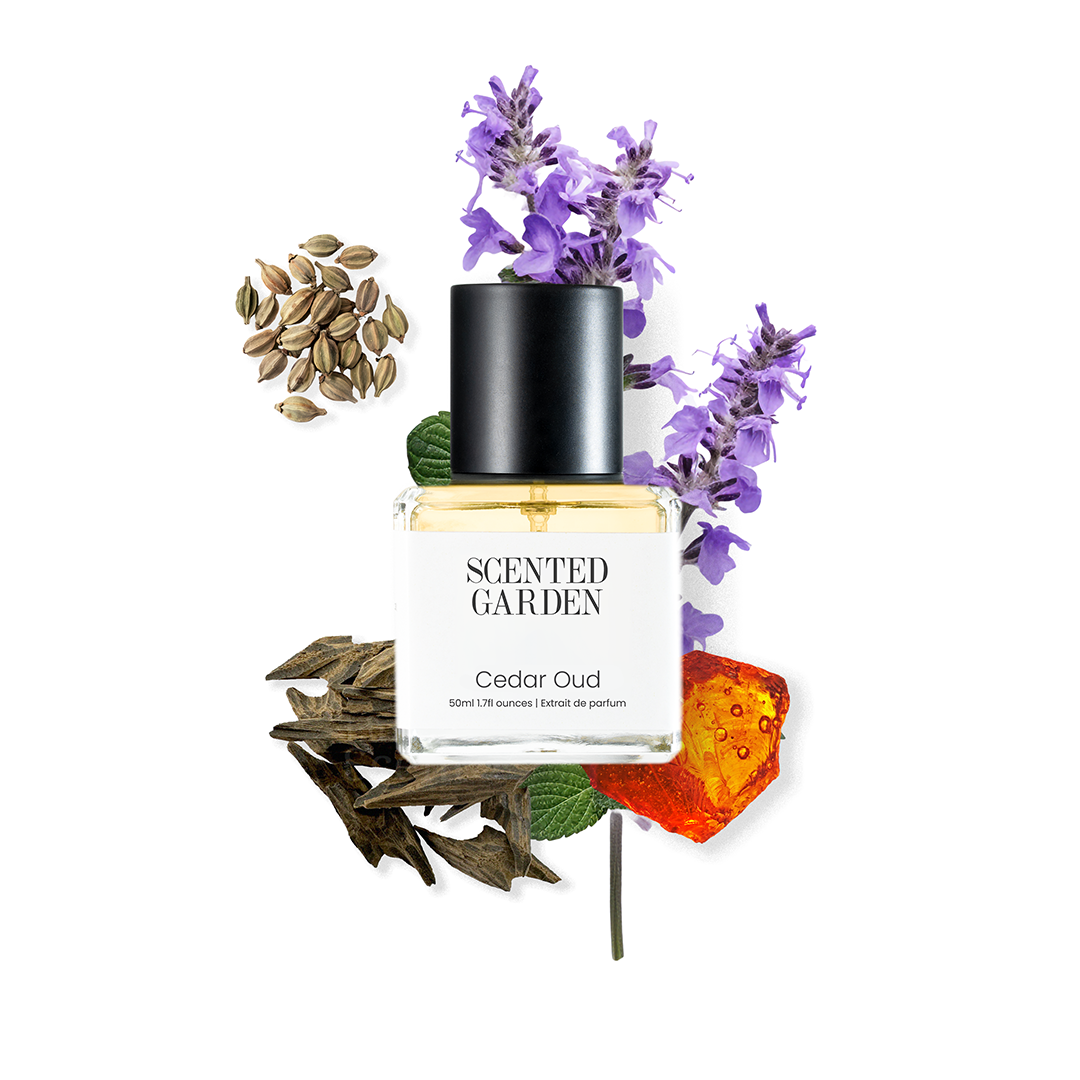 Cedar Oud