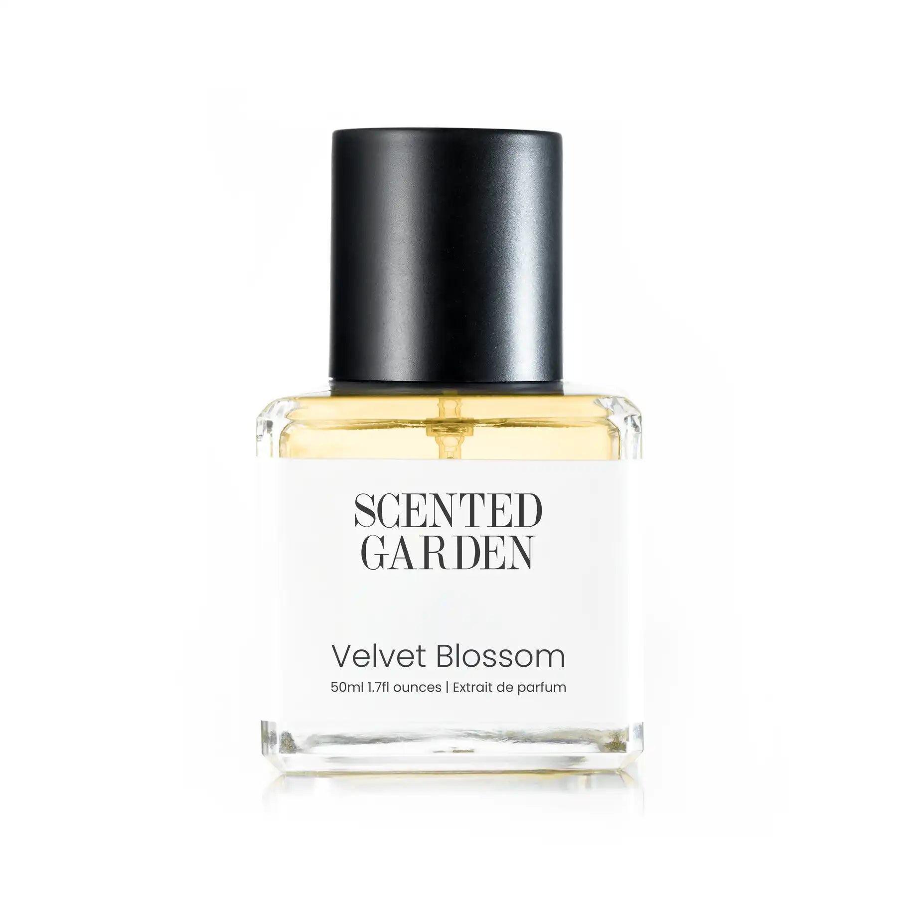 Velvet Blossom