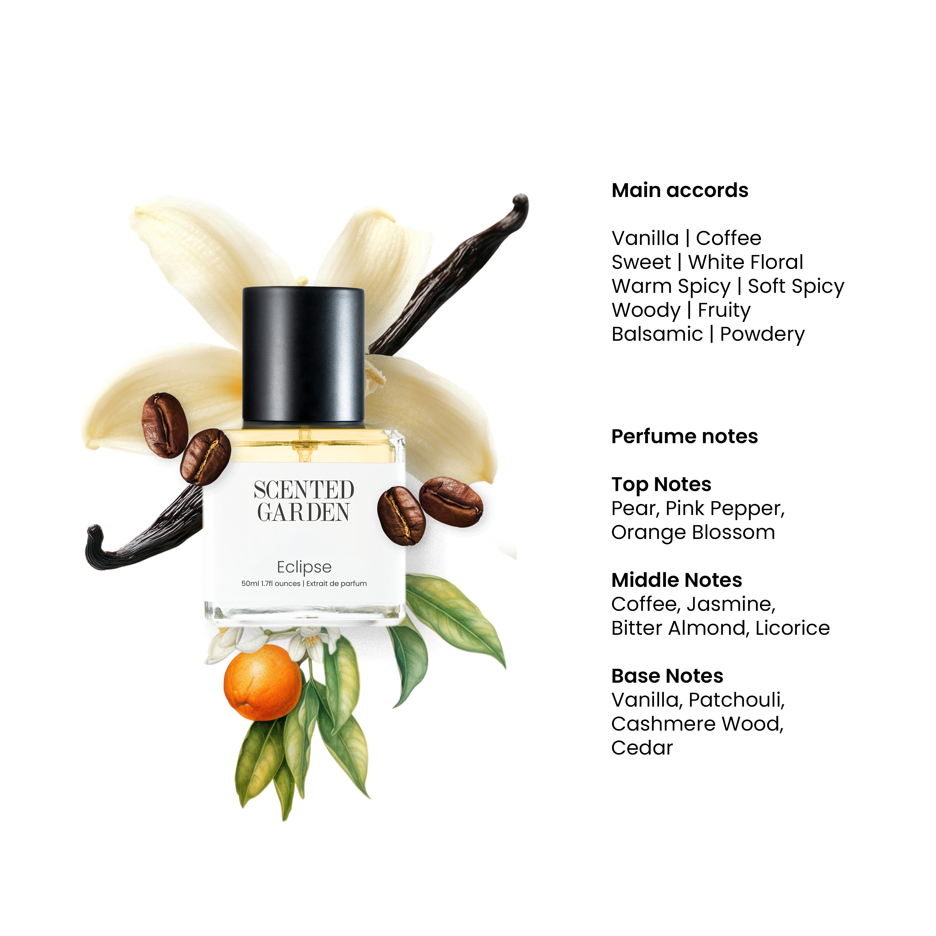 Eclipse - Impression of YSL Black Opium