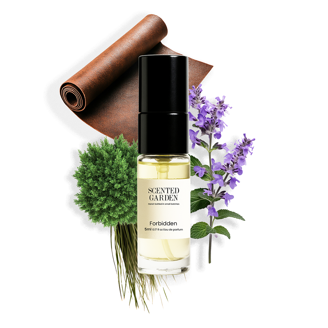 Men’s Tester Perfume Set (5 Scents × 5ml)