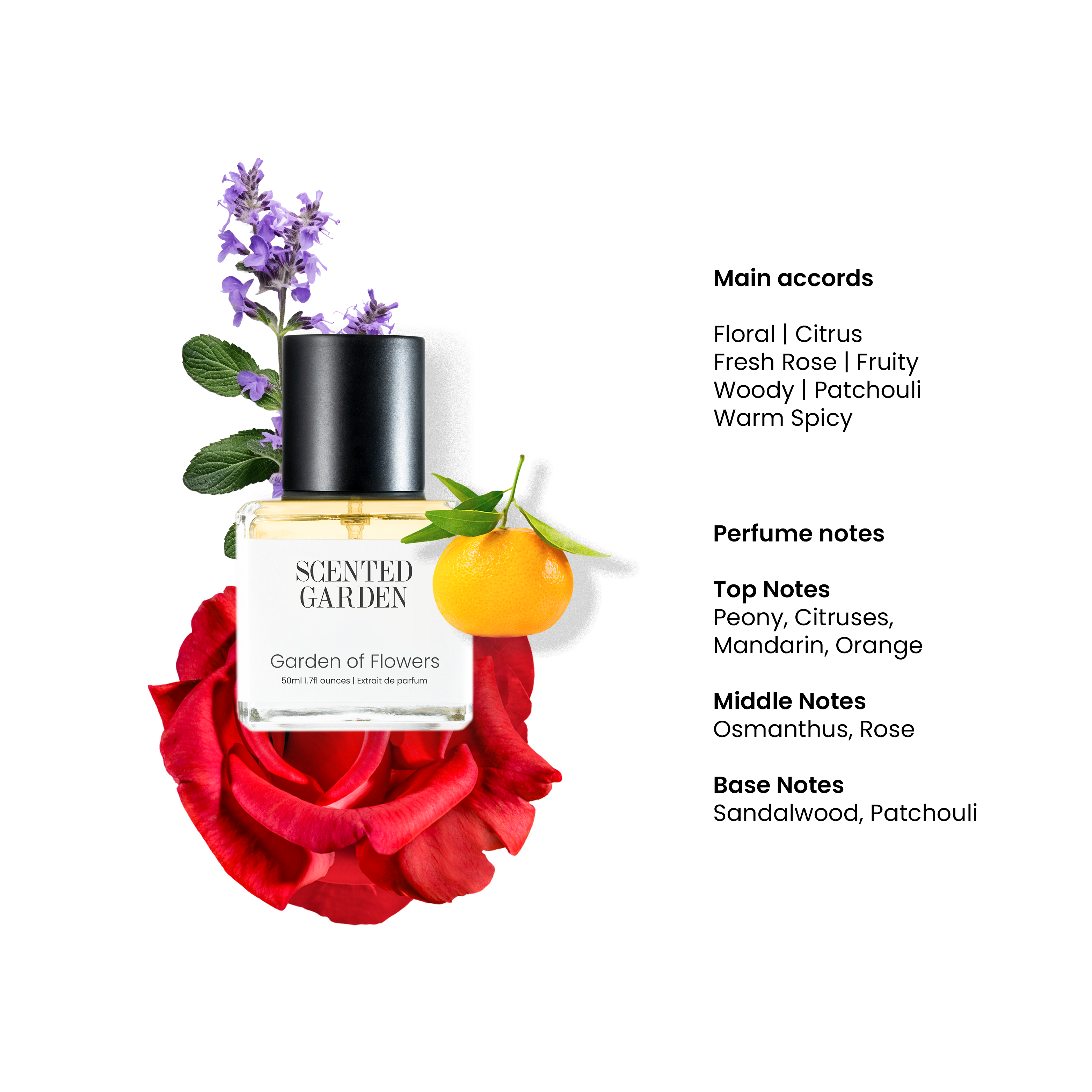 Garden of Flowers - Main Image