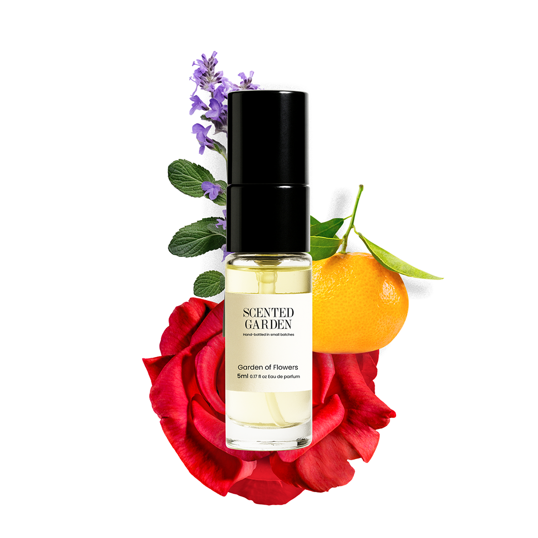 Women’s Tester Perfume Set (5 Scents × 5ml)