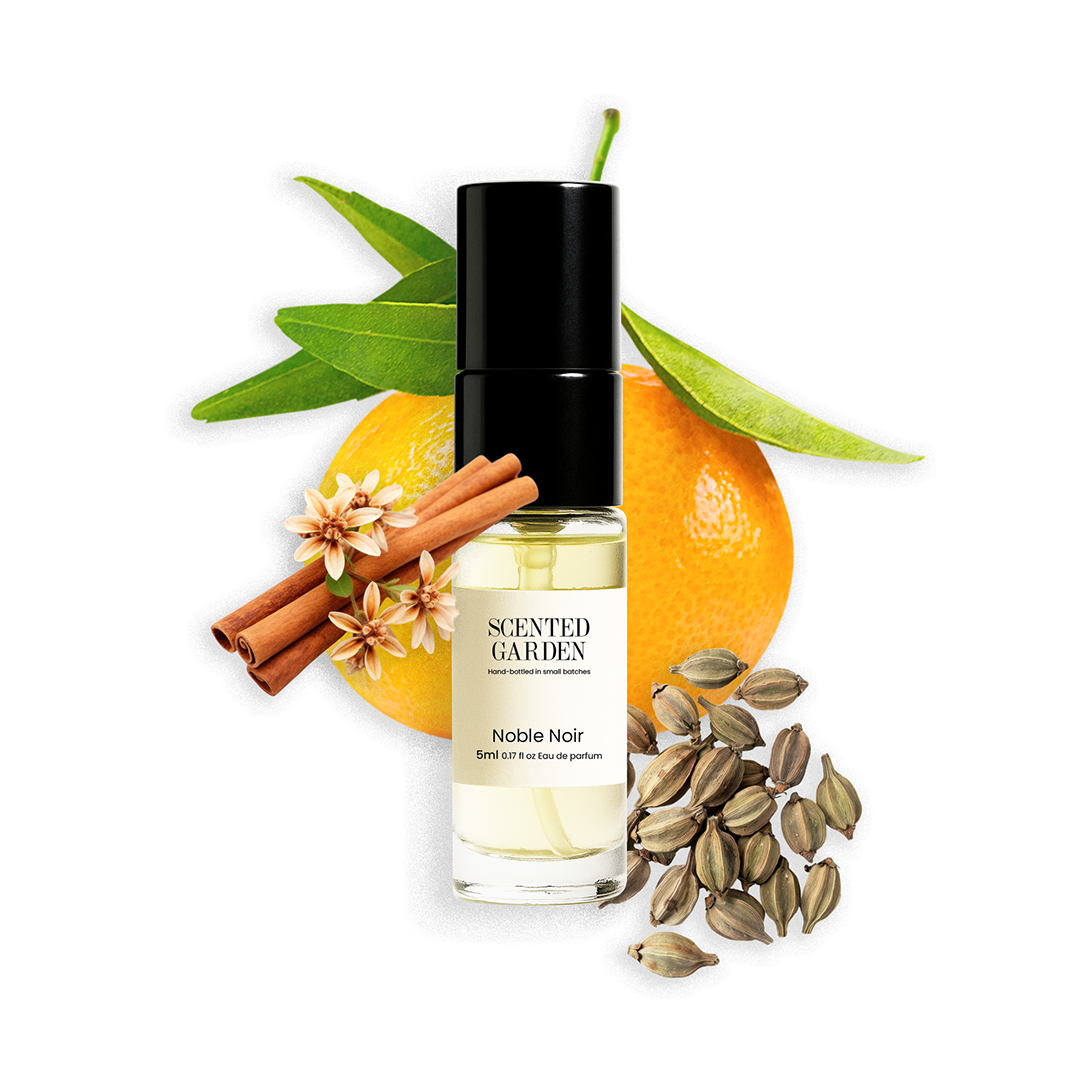 Unisex Tester Perfume Set (10 Scents × 5ml)