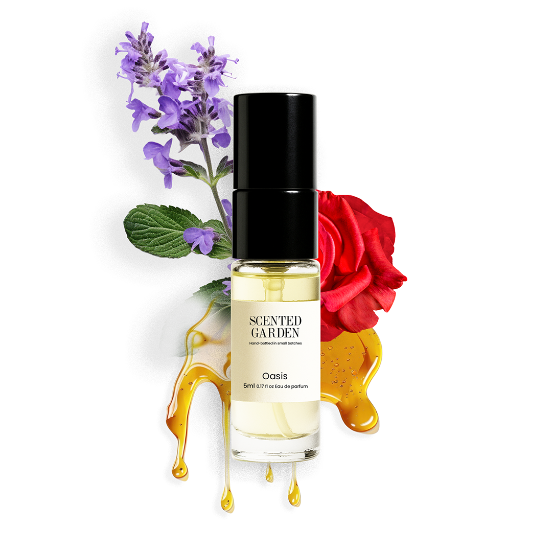 Unisex Tester Perfume Set (10 Scents × 5ml)
