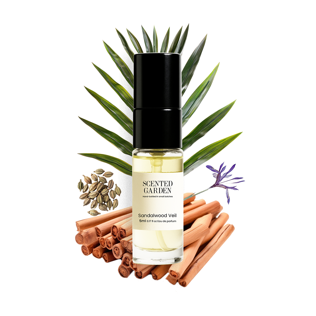 Unisex Tester Perfume Set (10 Scents × 5ml)