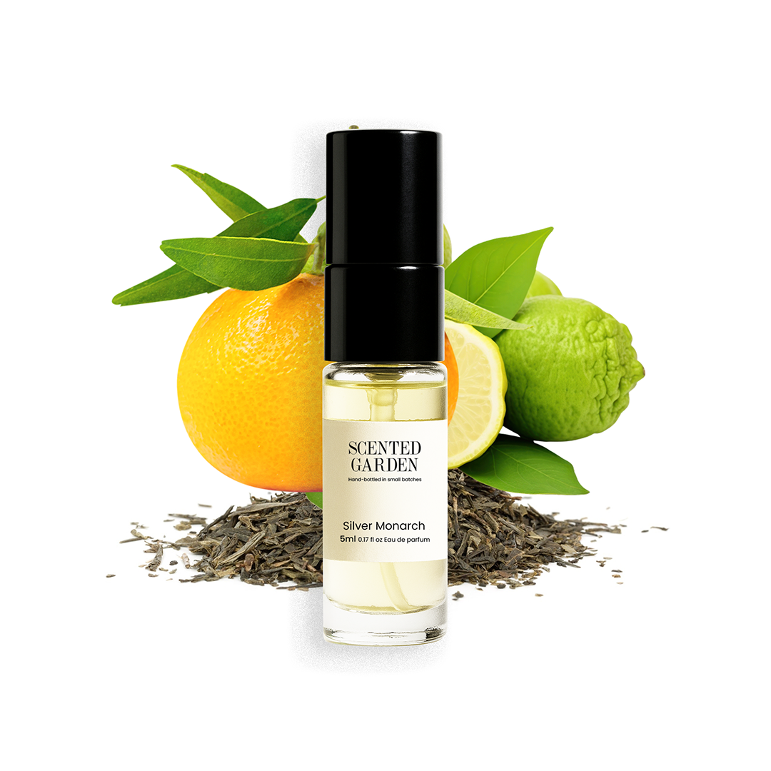 Unisex Tester Perfume Set (10 Scents × 5ml)