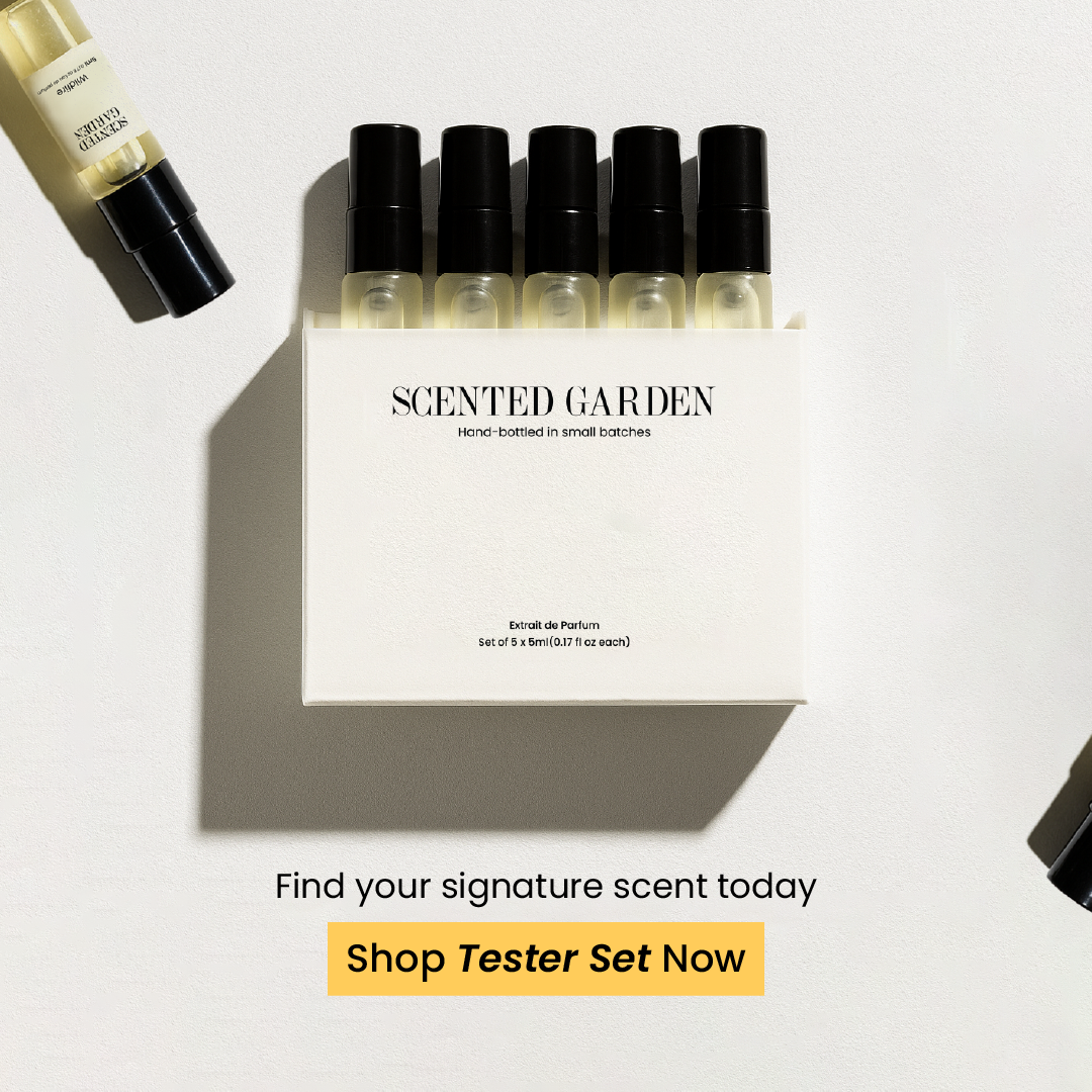 Unisex Tester Perfume Set (10 Scents × 5ml)
