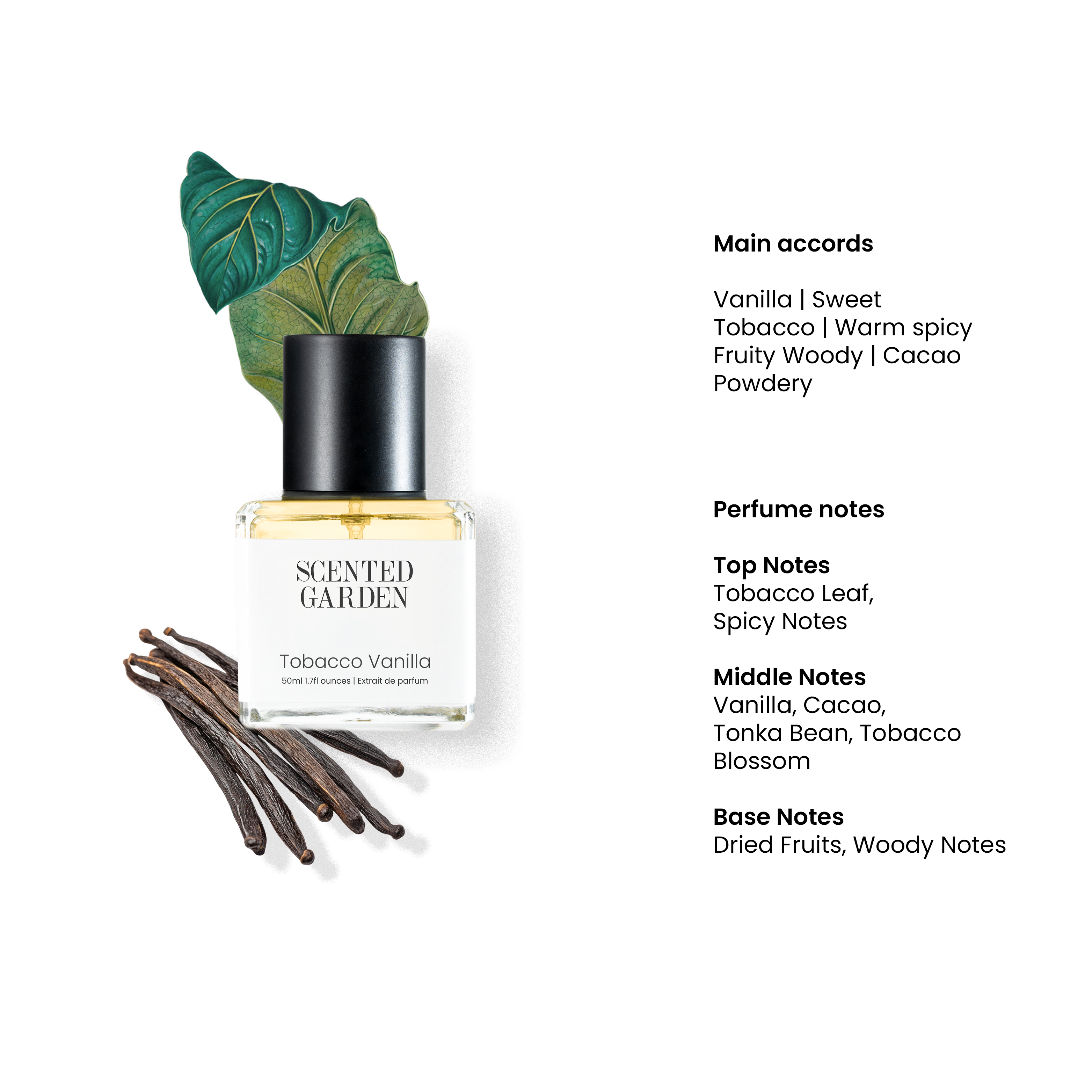 Tobacco vanilla