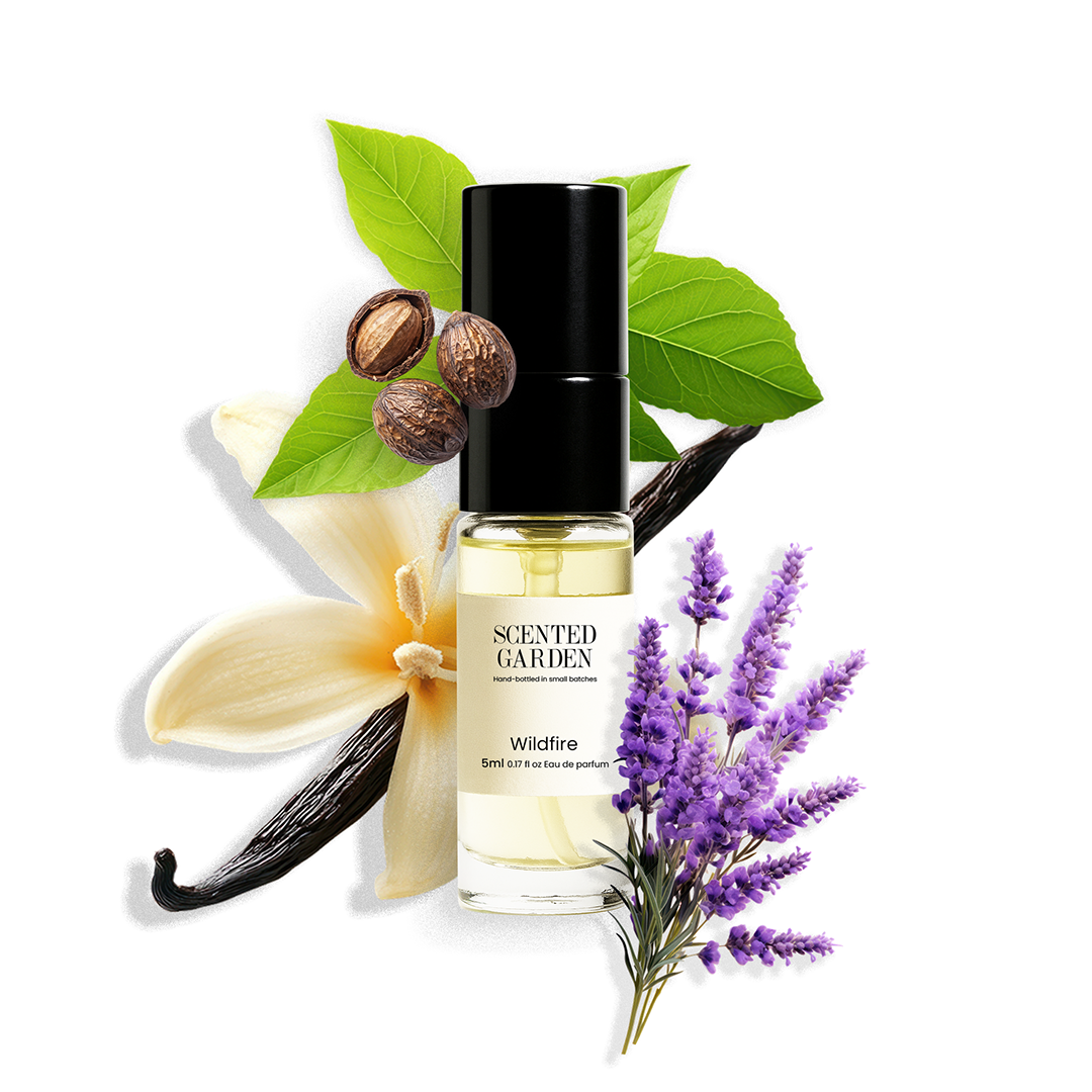 Men’s Tester Perfume Set (5 Scents × 5ml)